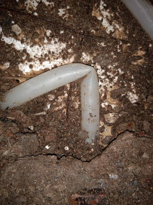 樟树堵点精准查找